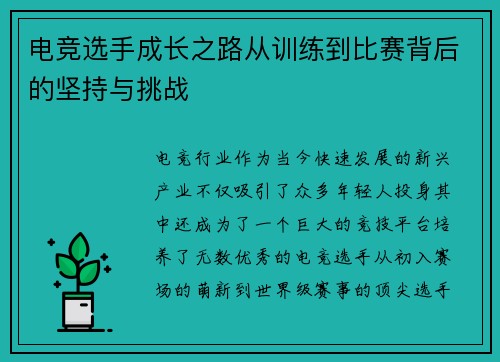 电竞选手成长之路从训练到比赛背后的坚持与挑战